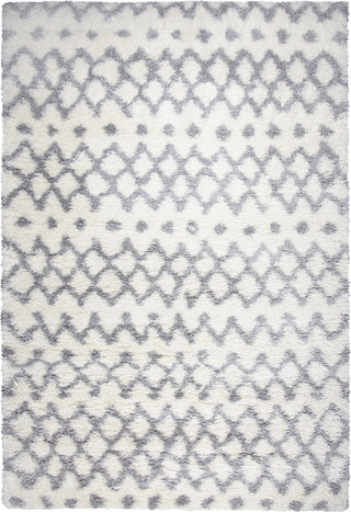 Rizzy Adana AN695A Gray Area Rug main image