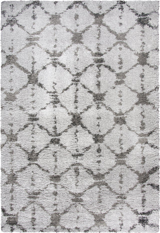 Rizzy Adana AN696A Gray Area Rug main image