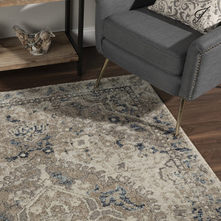 Dalyn Antigua AN7 Linen Area Rug Room Scene 3