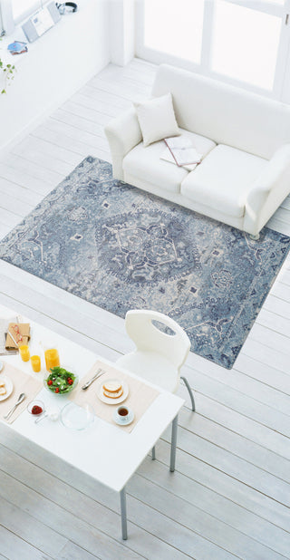 Dalyn Antigua AN7 Sky Area Rug Lifestyle Image Feature