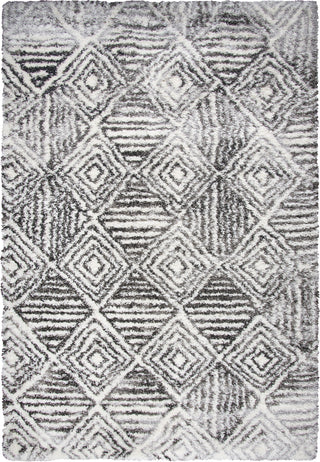 Rizzy Adana AN700A CHARCOAL Area Rug main image