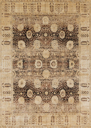 Loloi Anastasia AF-09 Coffee / Gold Area Rug main image