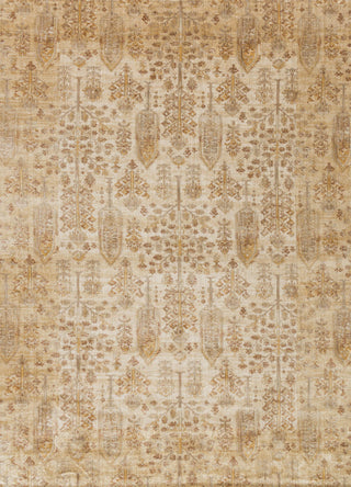 Loloi Anastasia AF-11 Ant Ivory / Gold Area Rug Main Image