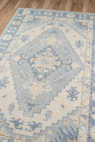 Momeni Anatolia ANA-1 Blue Area Rug Corner Image