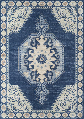 Momeni Anatolia ANA-3 Navy Area Rug main image