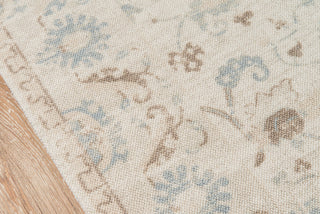 Momeni Anatolia ANA-5 Beige Area Rug Close up