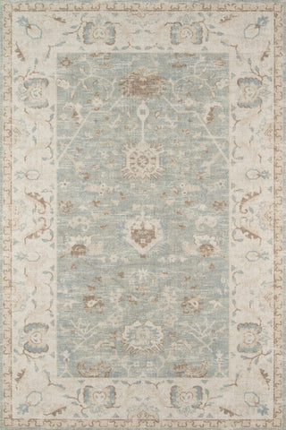 Momeni Anatolia ANA-5 Sage Area Rug main image