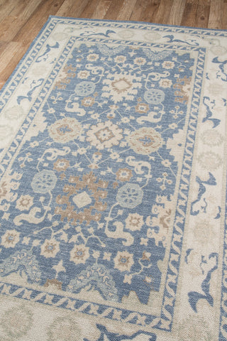 Momeni Anatolia ANA-7 Light Blue Area Rug Corner Image