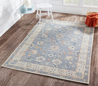 Momeni Anatolia ANA-8 Blue Area Rug Main Image Feature