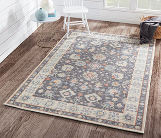 Momeni Anatolia ANA-8 Charcoal Area Rug Main Image Feature