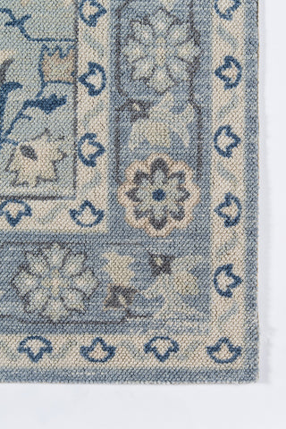 Momeni Anatolia ANA-9 Blue Area Rug Close up