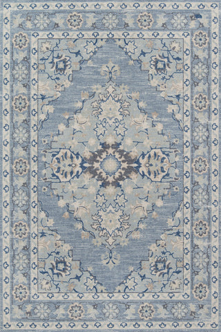 Momeni Anatolia ANA-9 Blue Area Rug main image