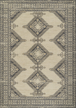 Momeni Anatolia ANA10 Charcoal Area Rug main image