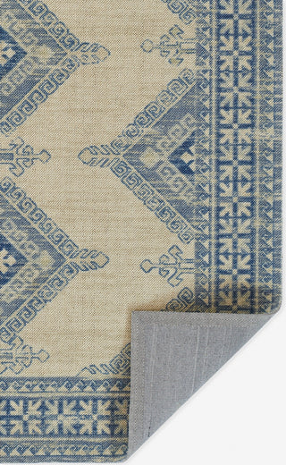 Momeni Anatolia ANA10 Ivory Area Rug Close up