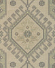 Momeni Anatolia ANA11 Sage Area Rug Main Image