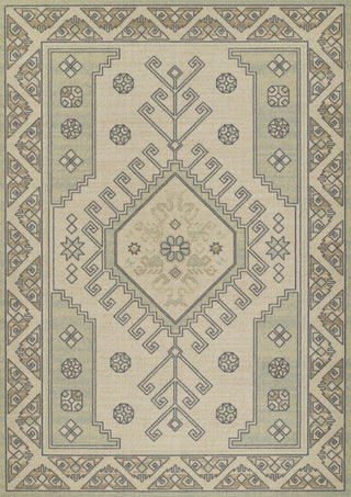 Momeni Anatolia ANA11 Sage Area Rug main image