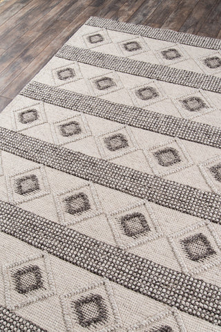 Momeni Andes AND-6 Beige Area Rug Corner Image