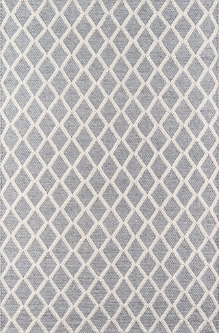 Momeni Andes AND-7 Grey Area Rug main image