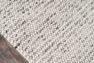 Momeni Andes AND-8 Ivory Area Rug Close up