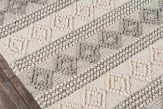 Momeni Andes AND10 Ivory Area Rug Close up