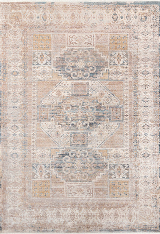 Momeni Andover ADV-7 Grey Area Rug