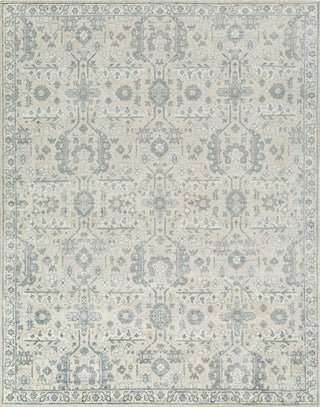 Surya Aleyna ANE-2300 Area Rug main image