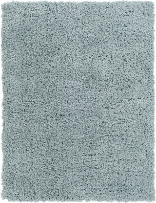 Surya Angora ANG-2303 Area Rug Main Image 