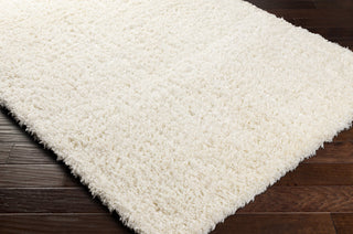 Surya Angora ANG-2304 Area Rug Corner Shot