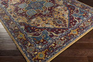 Surya Anika ANI-1002 Area Rug Corner Image
