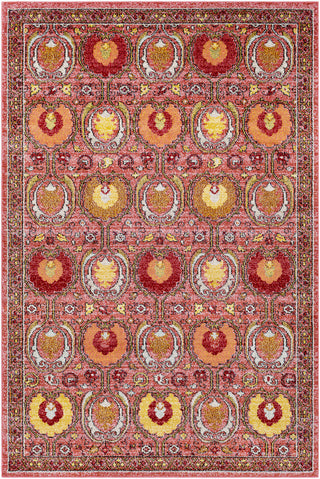 Surya Anika ANI-1008 Pink/Orange Area Rug main image