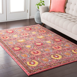 Surya Anika ANI-1008 Area Rug Room Image Feature