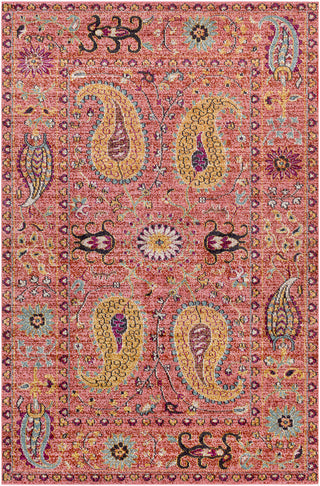 Surya Anika ANI-1011 Pink/Orange Area Rug main image