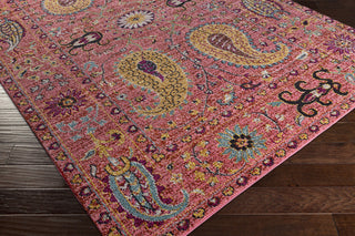 Surya Anika ANI-1011 Pink/Orange Area Rug Closeup