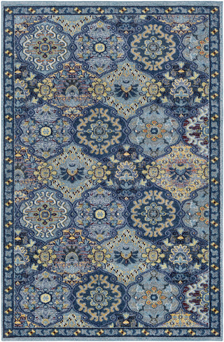 Surya Anika ANI-1019 Area Rug main image