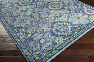 Surya Anika ANI-1019 Area Rug Corner Image