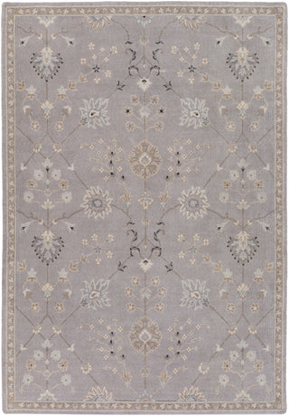 Andromeda ANM-1002 Gray Machine Woven Area Rug by Surya 5'3'' X 7'6''