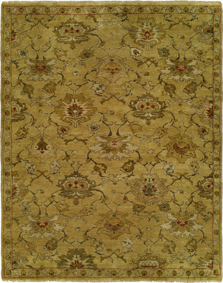 Ancient Boundaries Anne ANN-04 Area Rug main image