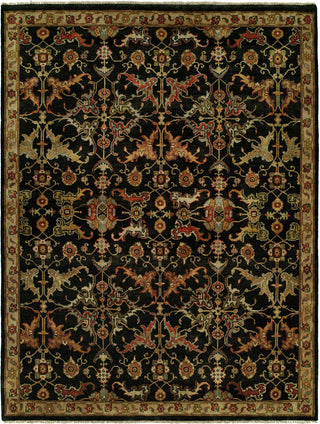 Ancient Boundaries Anne ANN-05 Area Rug main image