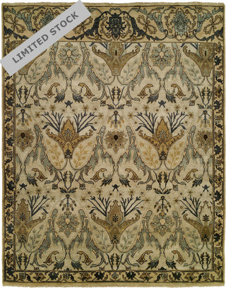 Ancient Boundaries Anne ANN-18 Area Rug main image