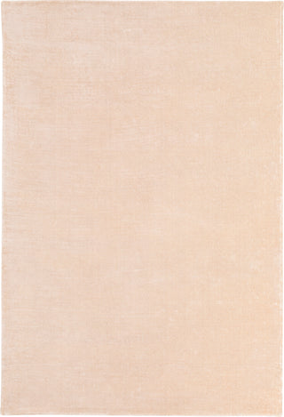 Surya Aspen ANP-2303 Area Rug main image