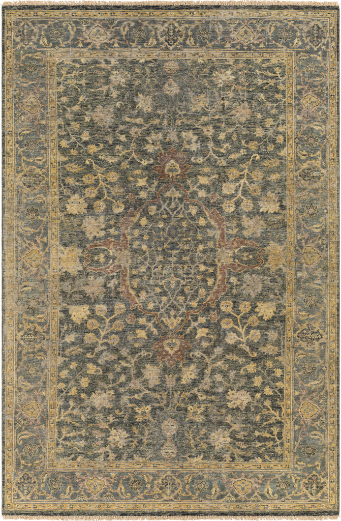 Surya Anatolia ANY-2303 Area Rug main image