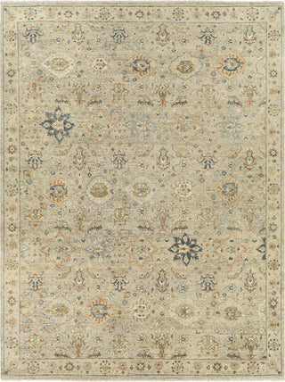 Surya Anatolia ANY-2305 Area Rug Main Image 