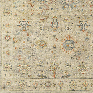 Surya Anatolia ANY-2305 Area Rug Close Up 