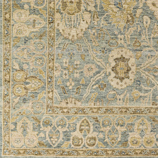 Surya Anatolia ANY-2307 Area Rug Close Up 