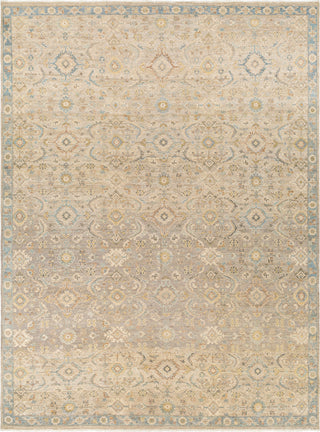 Surya Anatolia ANY-2308 Area Rug main image