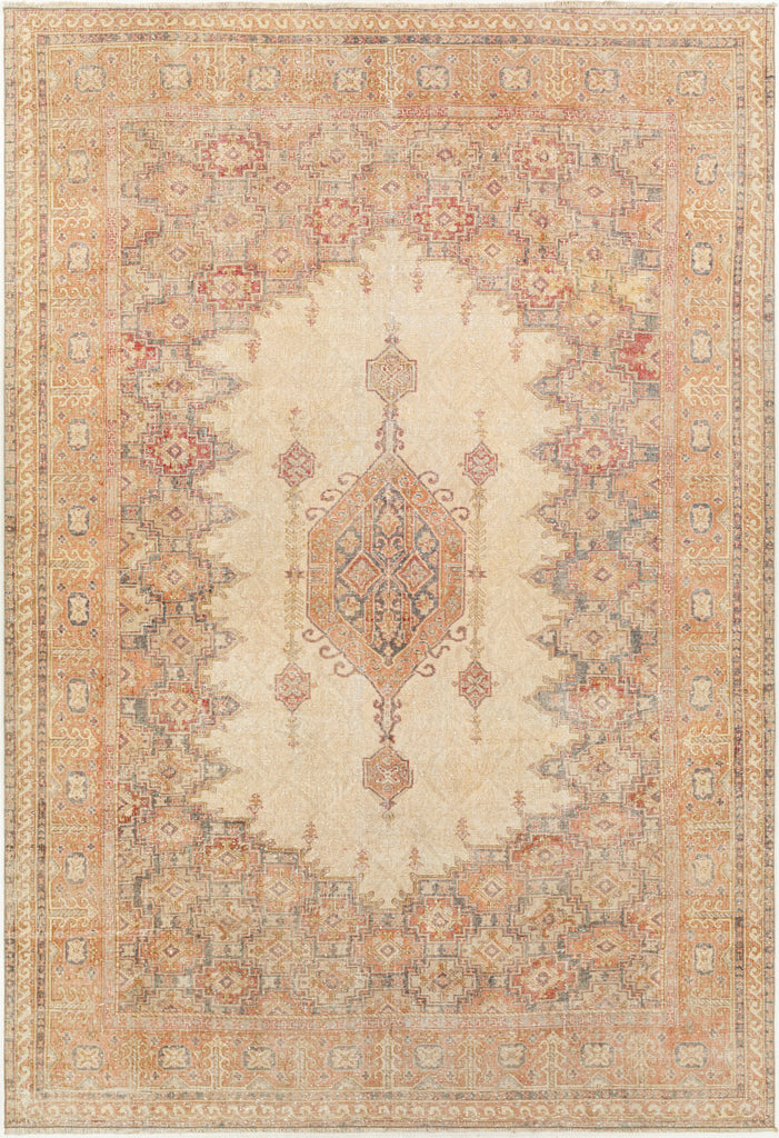 Surya Antique One of a Kind AOOAK-1048 Area Rug main image