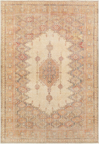 Surya Antique One of a Kind AOOAK-1048 Area Rug main image