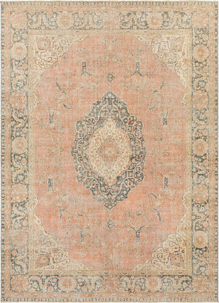 Surya Antique One of a Kind AOOAK-1049 Area Rug main image