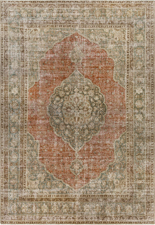 Surya Antique One of a Kind AOOAK-1117 Area Rug main image