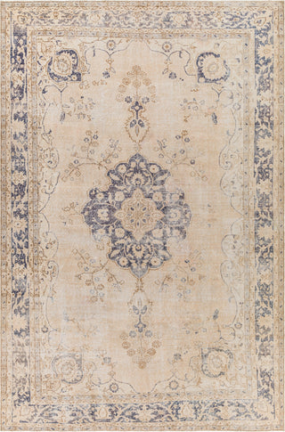 Surya Antique One of a Kind AOOAK-1175 Area Rug main image